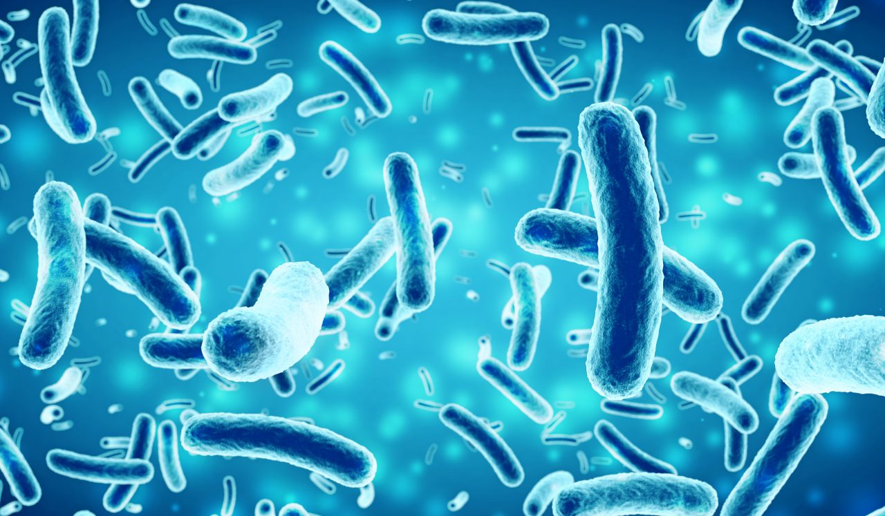 bacteria-in-a-blue-background-3d-illustration-2021-08-26-22-28-54-utc-1280x747.jpg